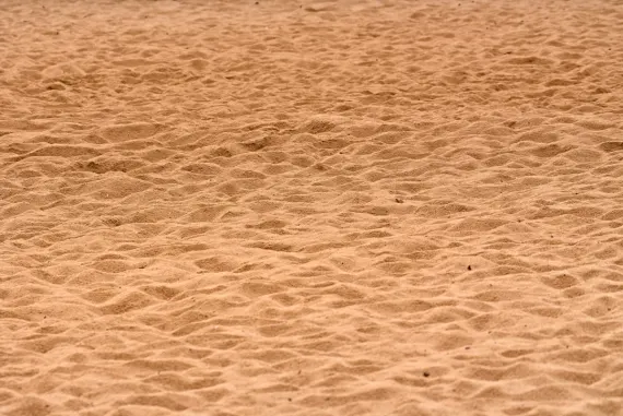 BigWins Cazino Cazinou Suport